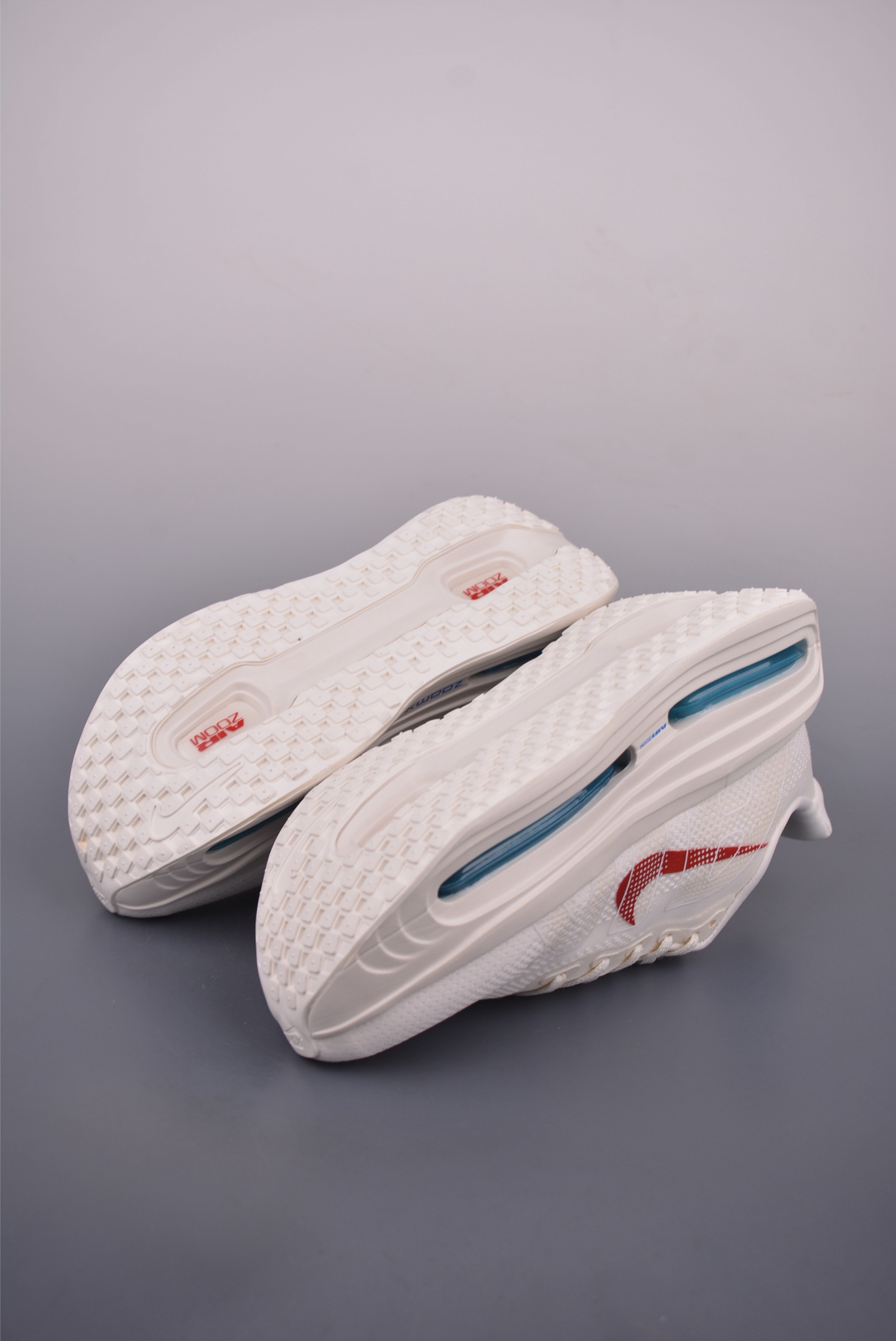 Nike Vomero premium Air FN8453-009