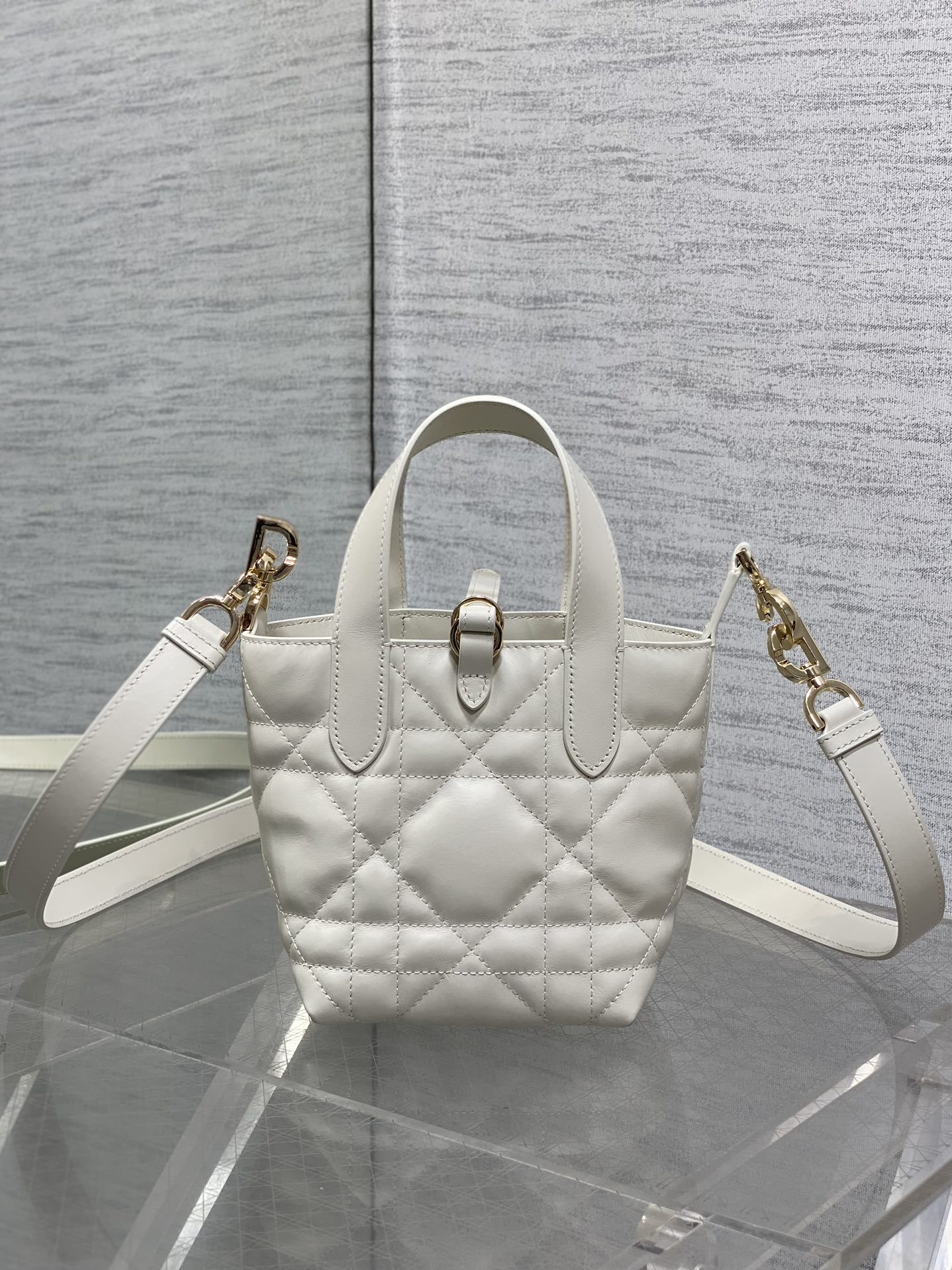 Dior Toujours vertical series mini