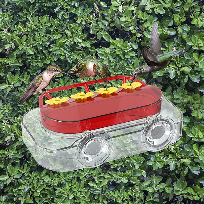 Top Selling🔥Window Hummingbird Feeder - Double Moat Guard Technology