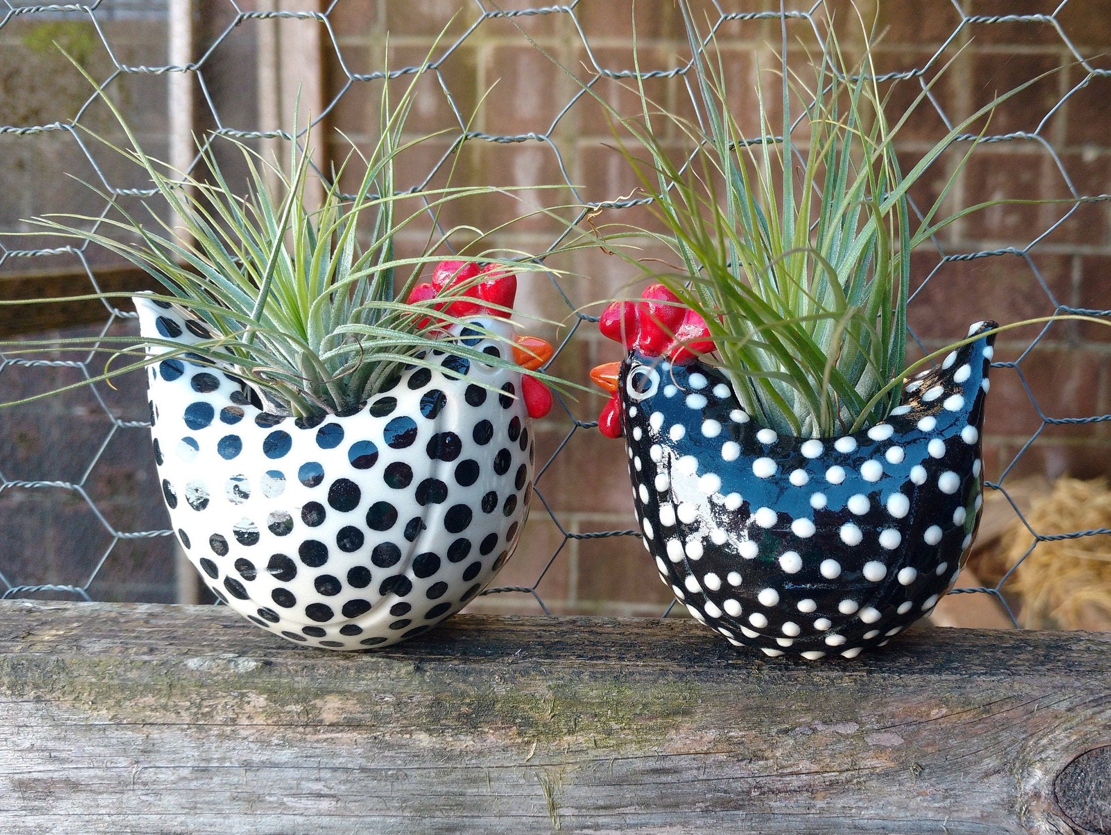 ❤️Mother's Day Sale 50% OFF❤️Free Range Black and White Chickens, Chicken Lover