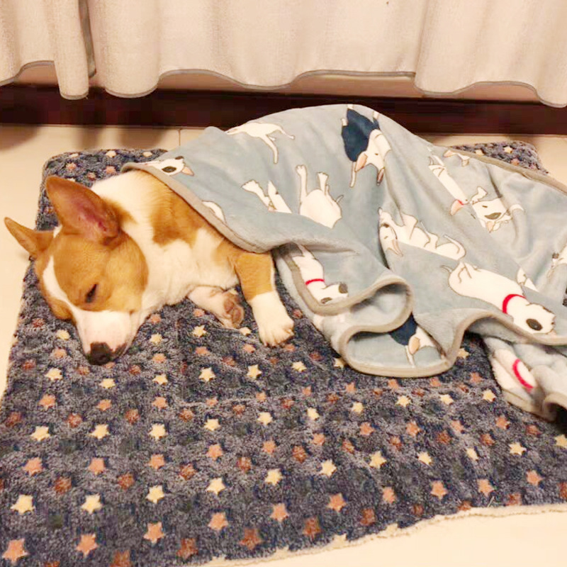💥Last Day Promotion 50% OFF-Cozy Calming Cat Blanket-BUY 2 GET 10% OFF