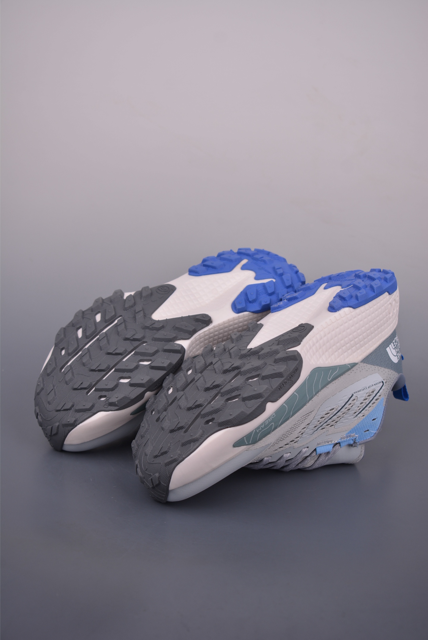 The North Face Altamesa 500 Hiking Shoes 