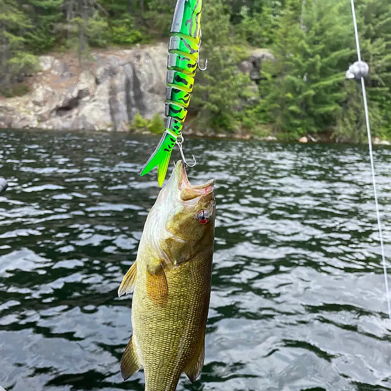 Bionic  Premium Fishing Lures
