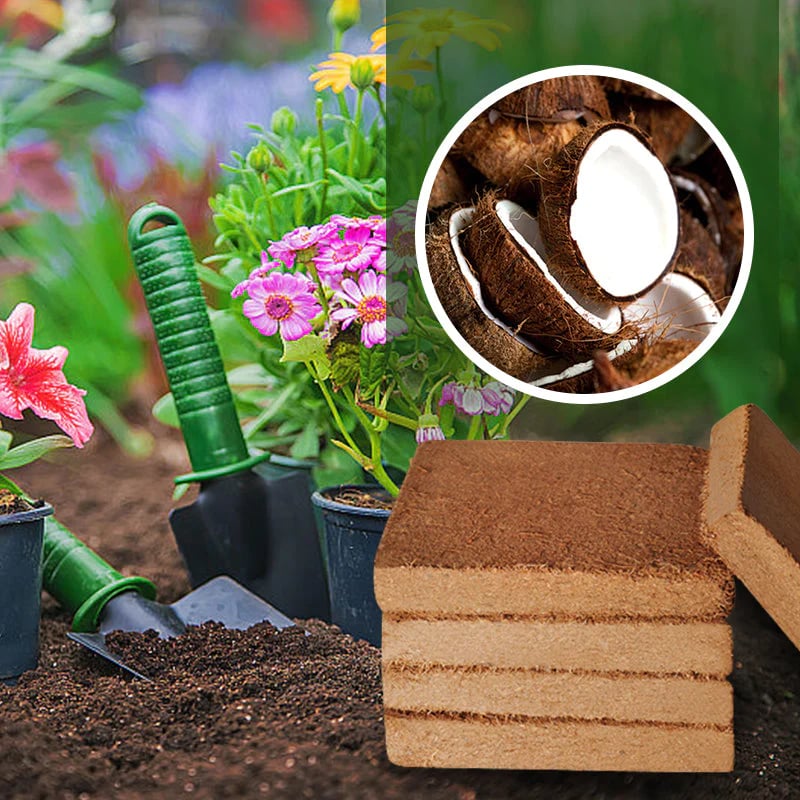 🔥Hot Sale Promotion 49% OFF - Organic Coconut Coir for Plants