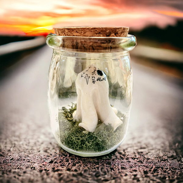 🎃Early Halloween Sale👻Adopt a Ghost-Pet Ghost in a Jar