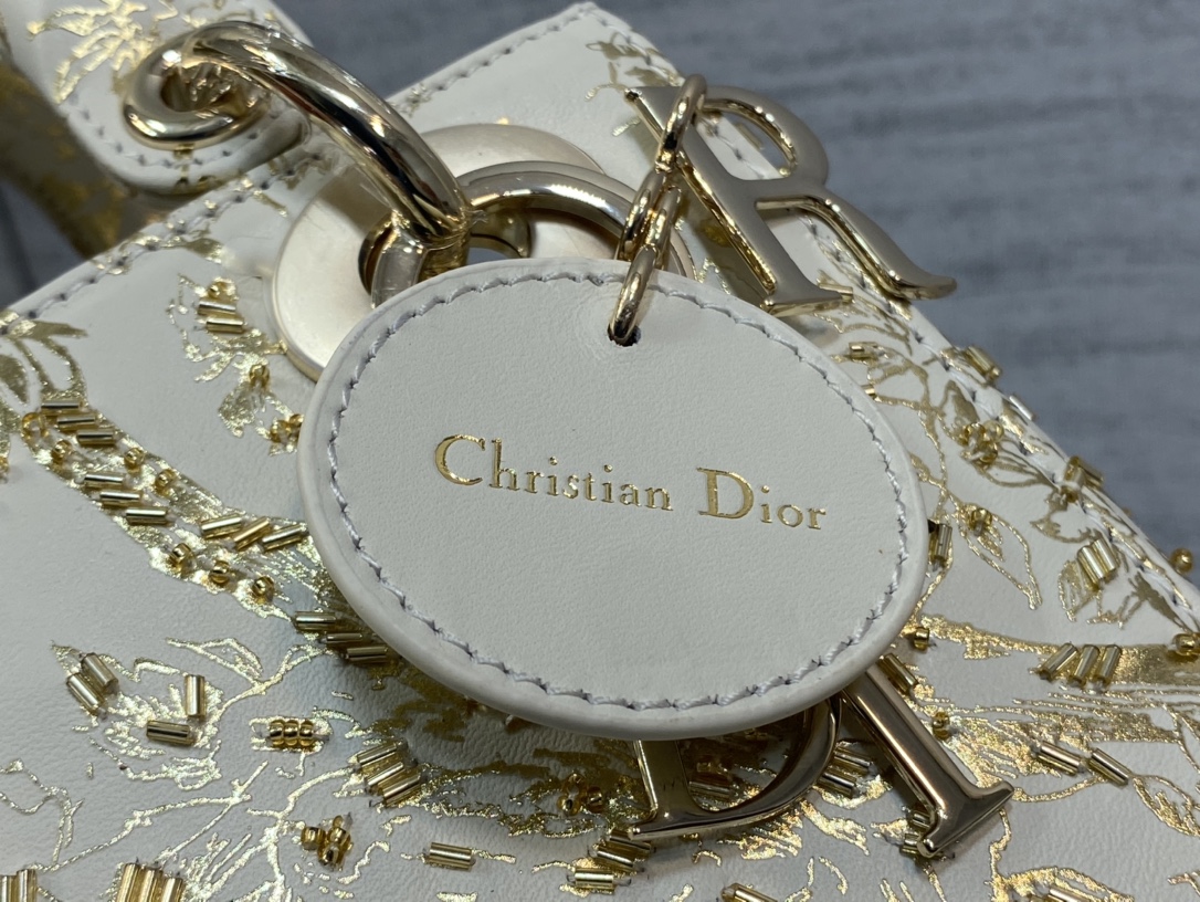 Dior Lady Limited Edition Embroidered Princess Diana Bag