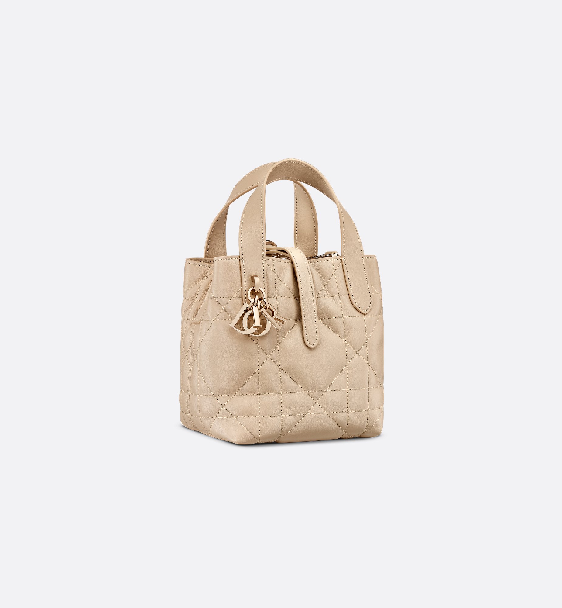Dior Micro Dior Toujours Vertical Bag S6100OSNW_M51U