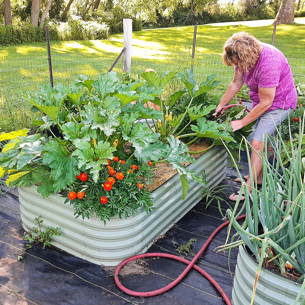 🌷2025D Spring Clearance Sale 🔥A8x2 Metal Raised Garden Beds (9 in 1)【Upgrade 2.0】