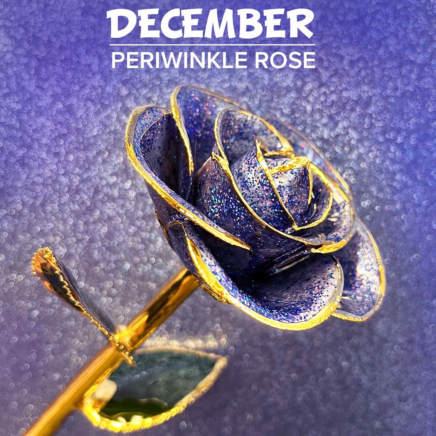 🔥HOT SALE🔥24kt Gold Dipped Rose Real Rose