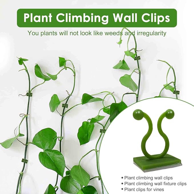 🌿🌿Plant Climbing Wall Fixture Clips