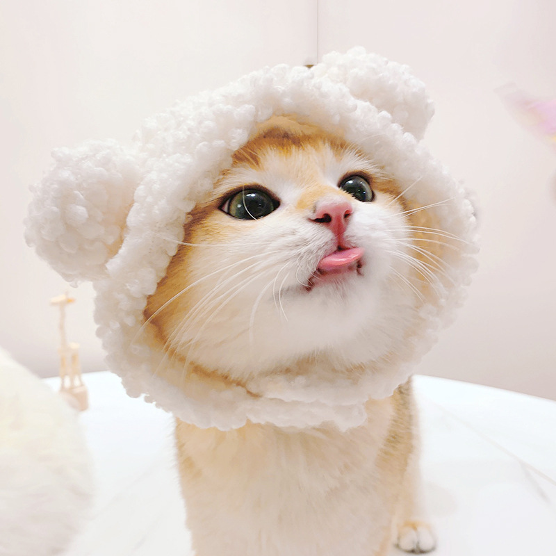 2024  King Cat Costume🔥(Last Day to Sell)