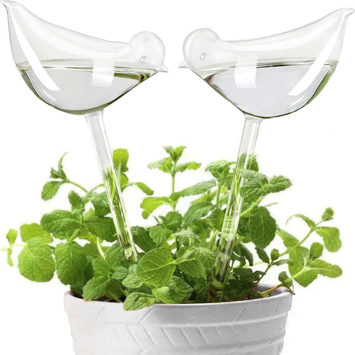 🔥Mother's Day Sale - 50% OFF🔥Plant Watering Globes Self Watering Planter Insert Spikes Drip Devices