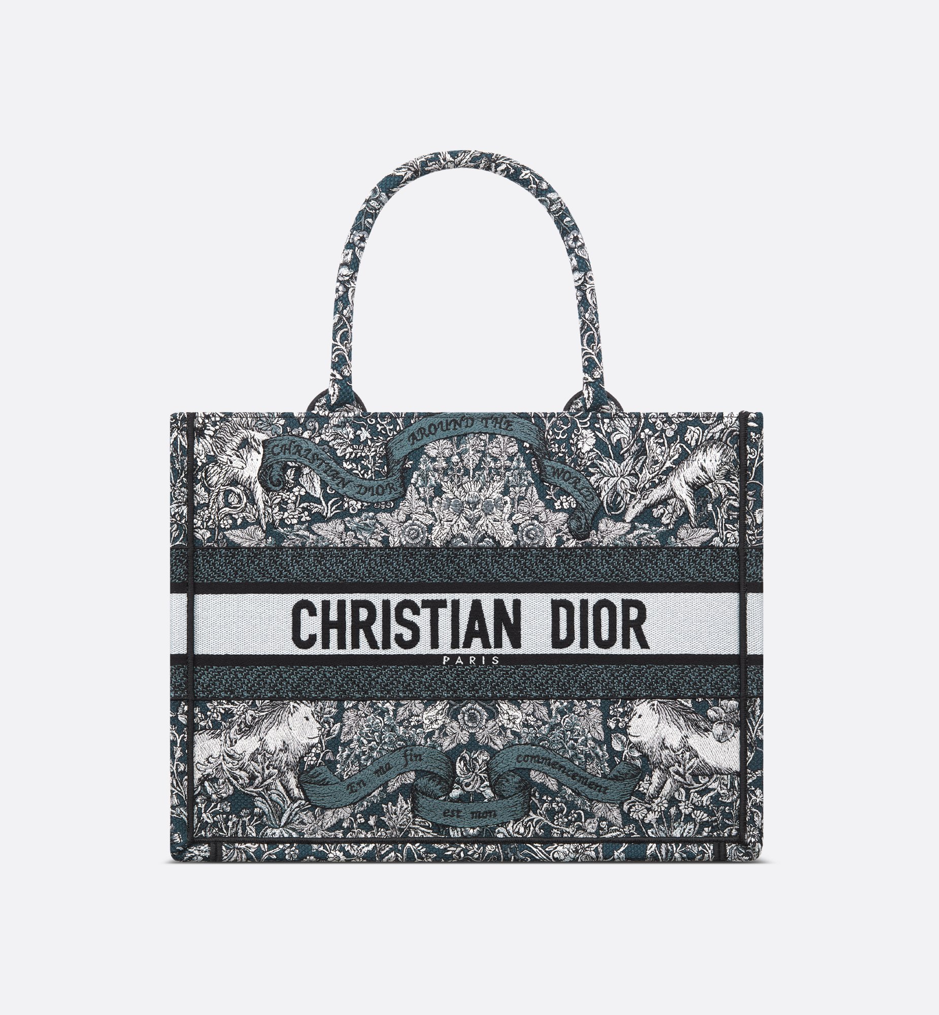 Dior Medium Book Tote Bag M1296ZEDO_M928