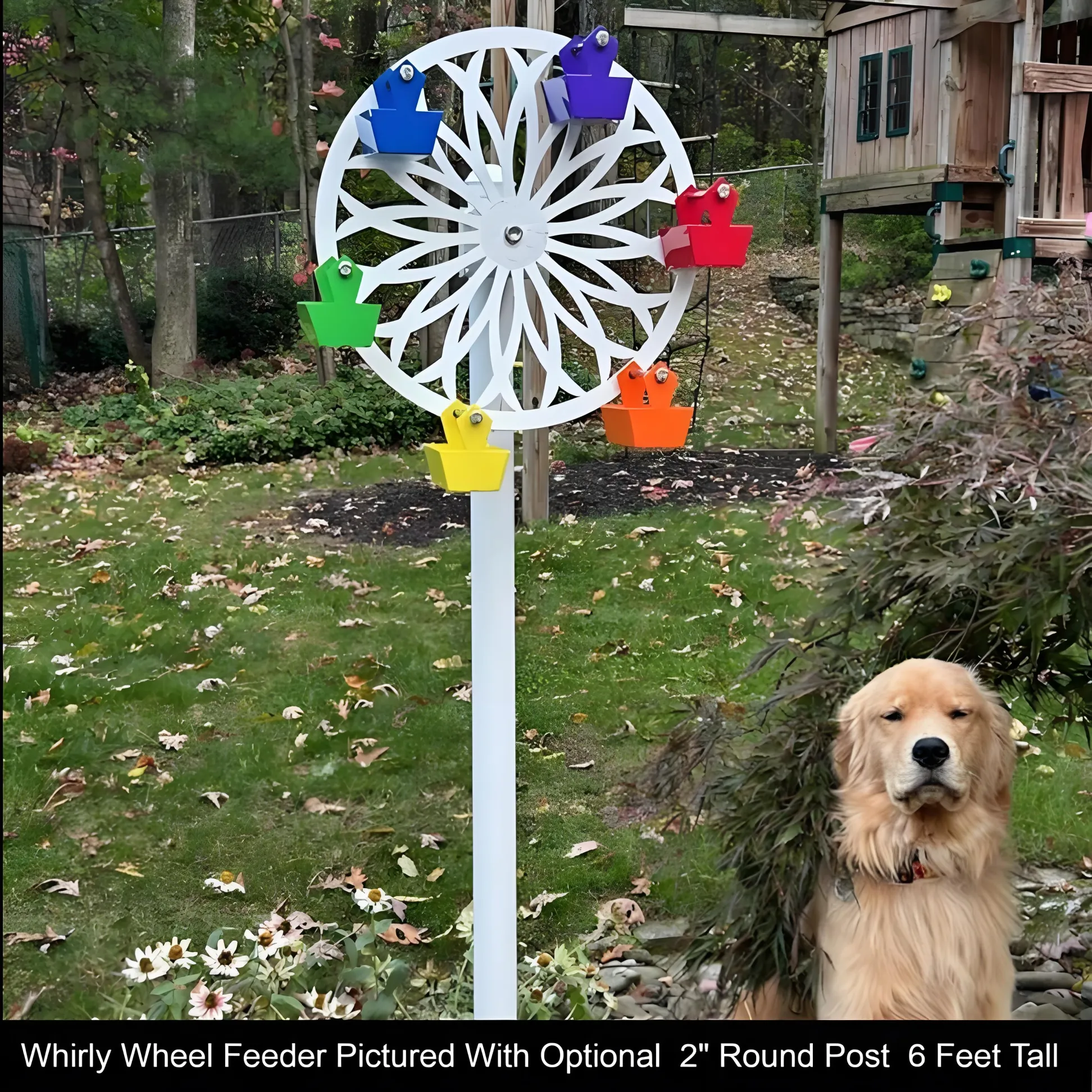 🔥ON SALE🔥New Arrived! The Ferris Wheel of Fun for Your Feathered Friends