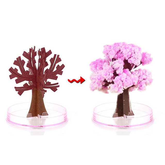 Magic Growing Christmas Tree