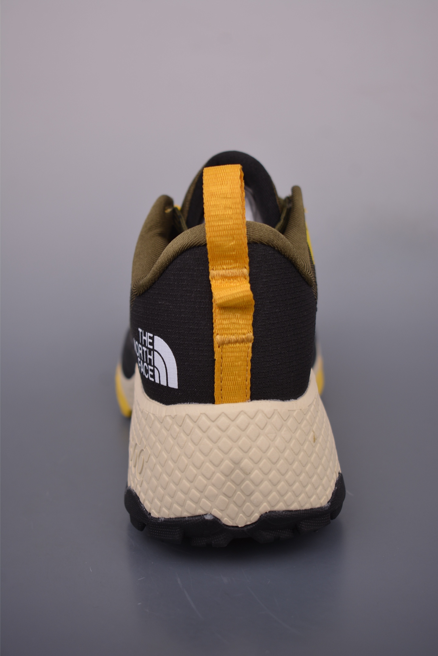 The North Face Altamesa 500 Hiking Shoes 