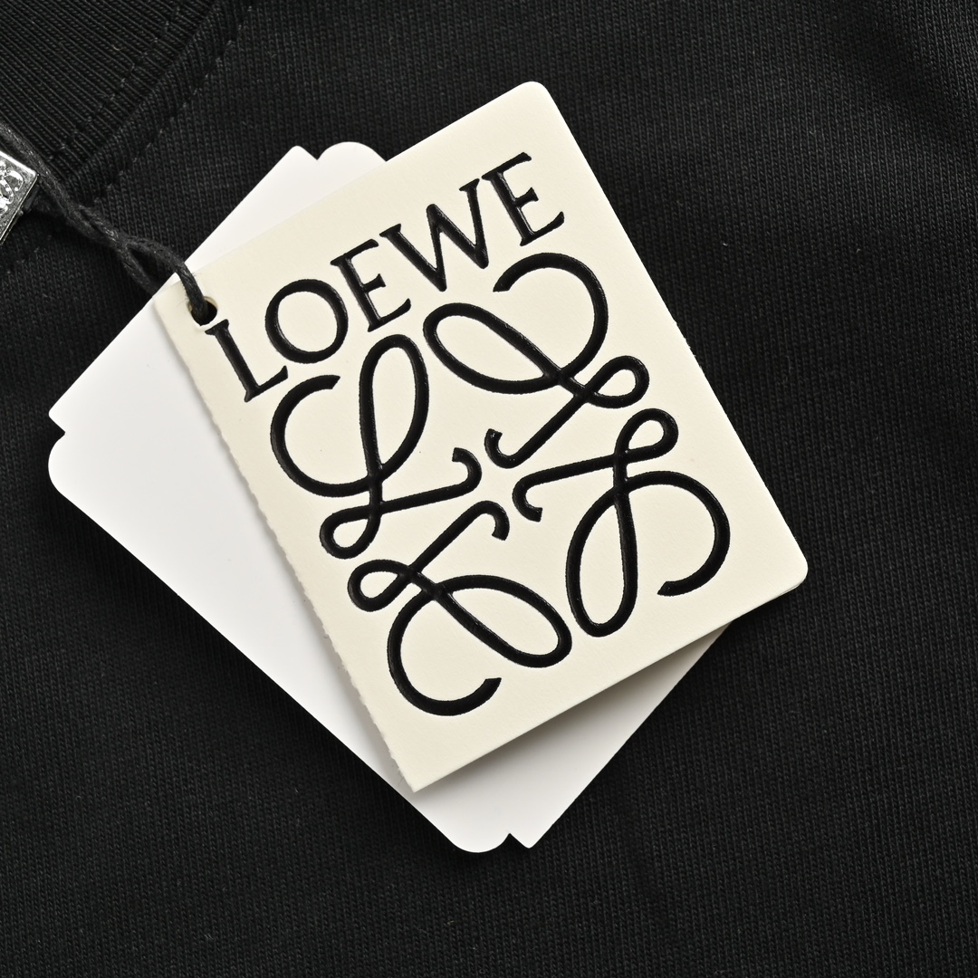 Loewe 24ss panda embroidered letter short sleeve