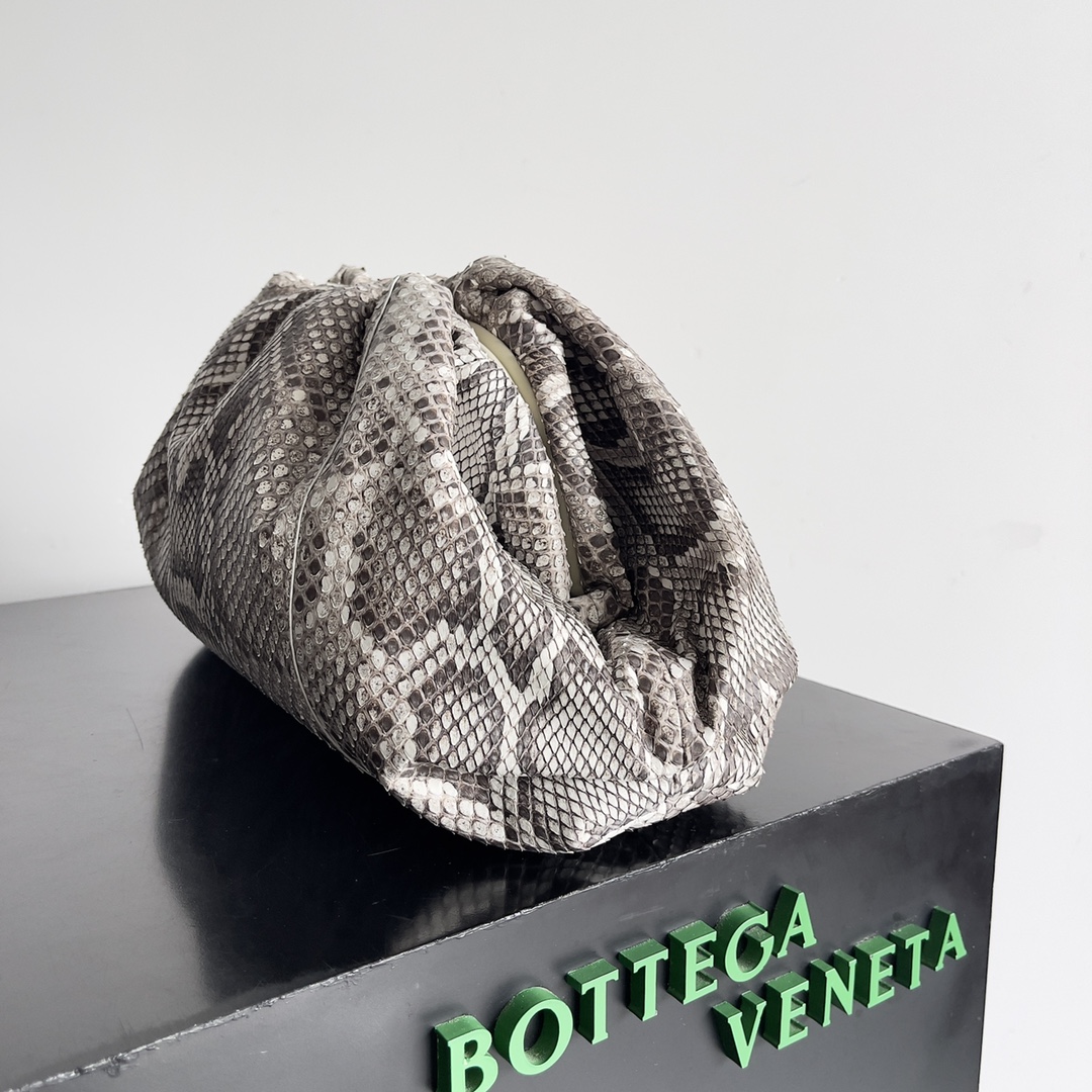 Bottega Veneta Python Cloud Bag 576227