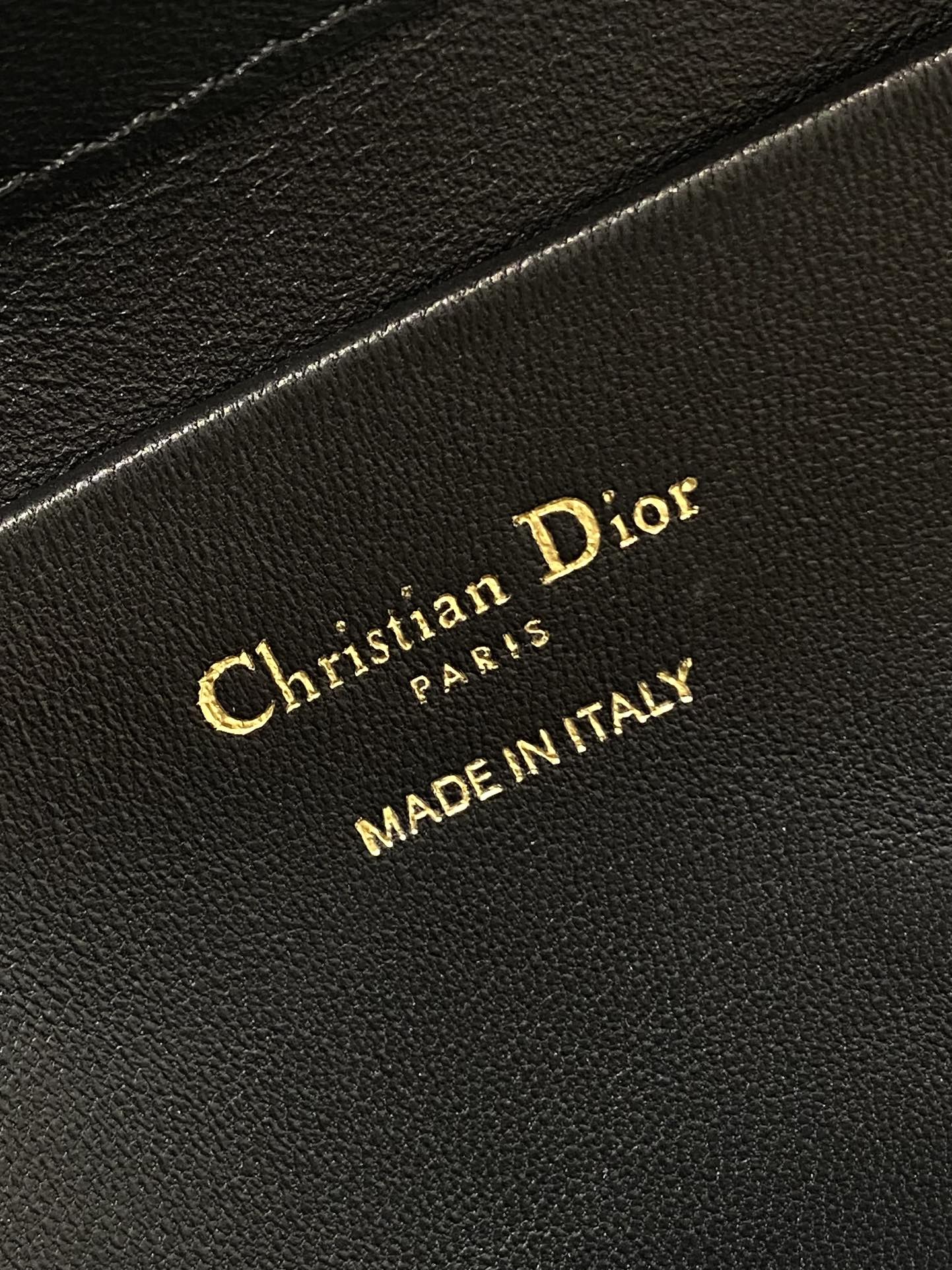 Dior Toujours Vertical Series Medium