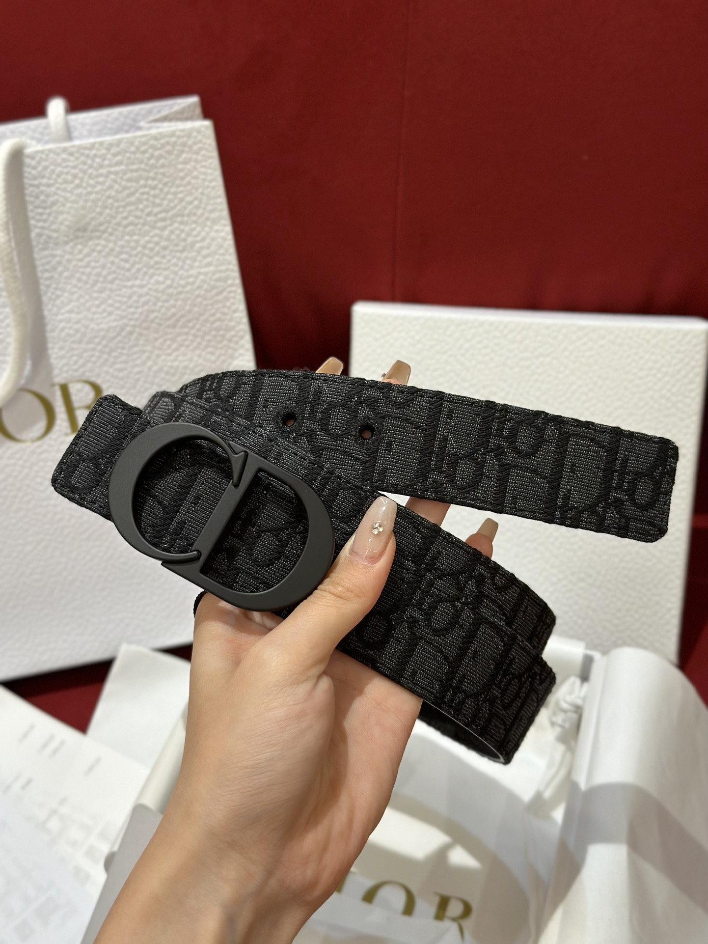 Dior CD Buckle Canvas Leather Belt 3.5CM Width