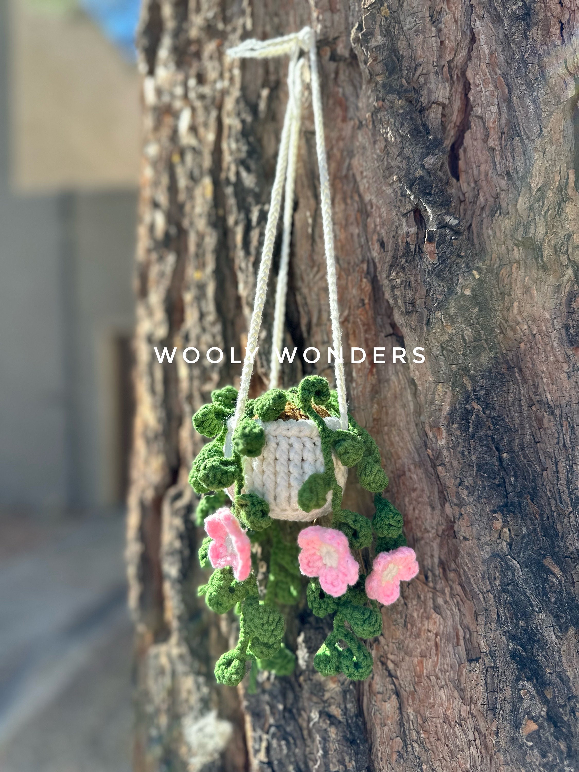 🌸Handcrafted Crochet Hanging Plants🌸