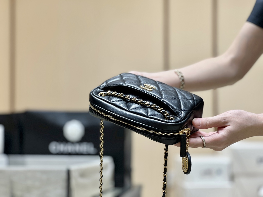 Chanel 24K Autumn and Winter Limited Edition Gold Coin Camera Bag AS5190