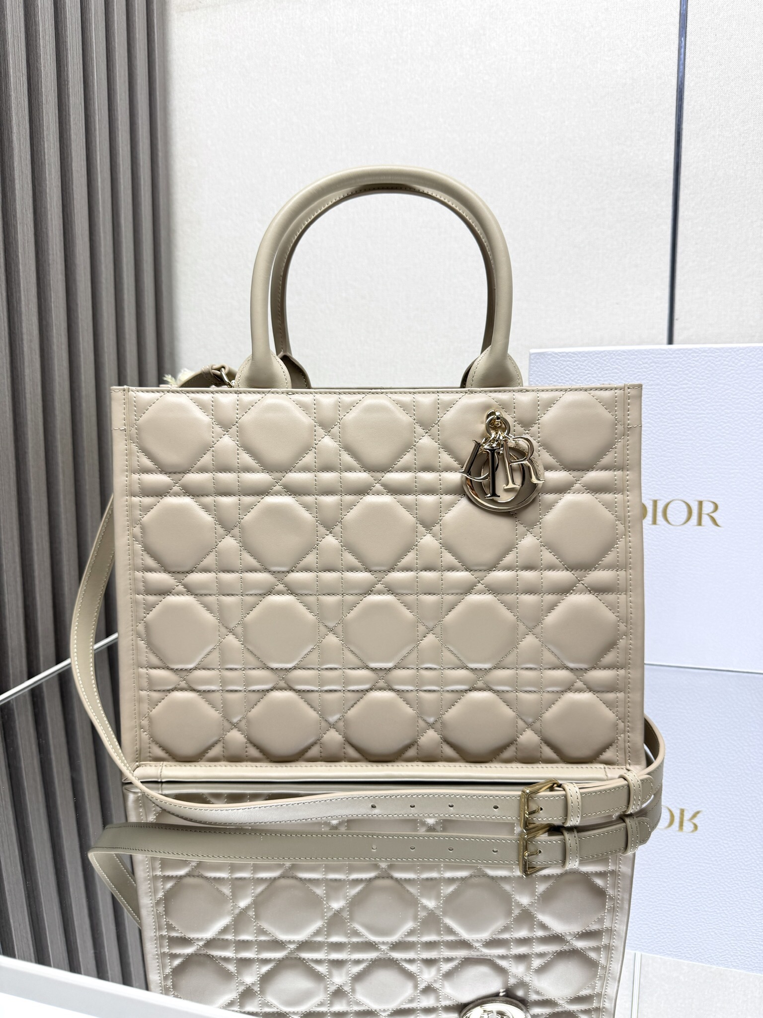 Dior BOOK TOTE handbag M1324