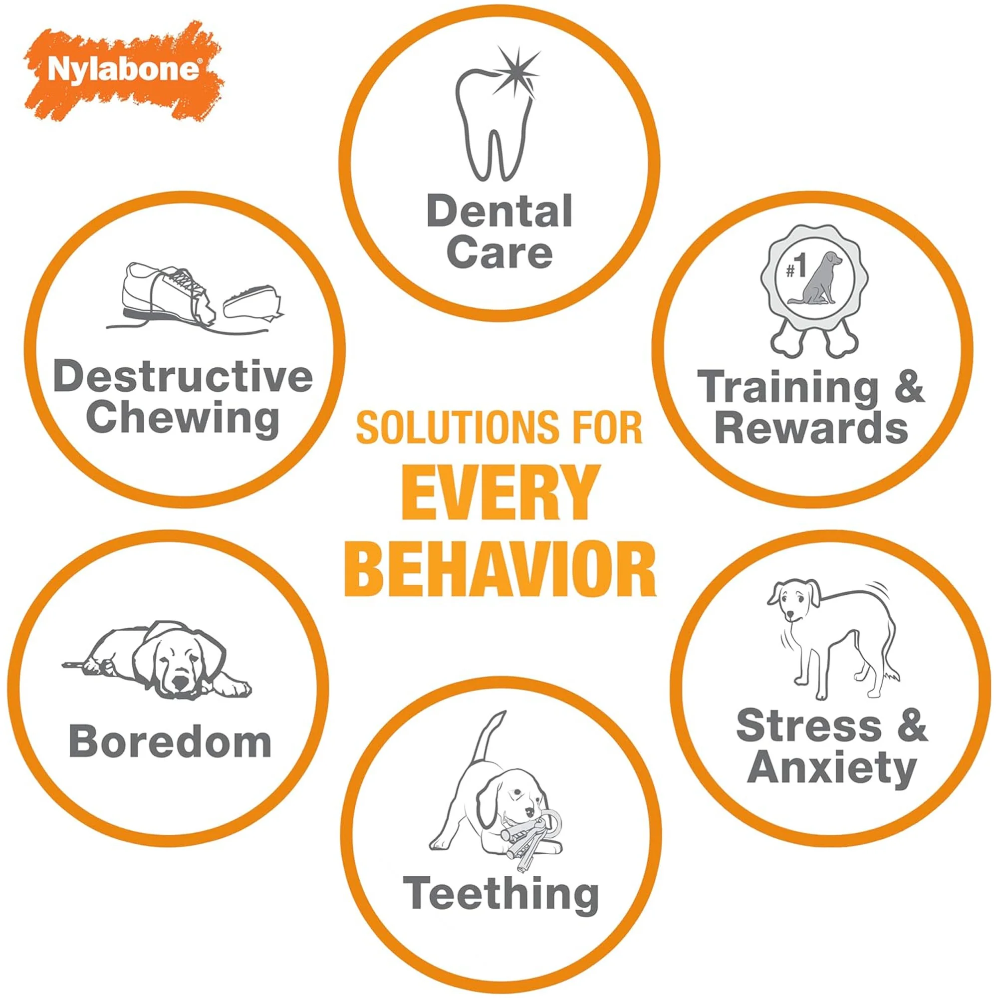 Nylabone Power Chew Flavored Durable Chew Toy for Dogs, for Medium Dogs, Chicken Flavor