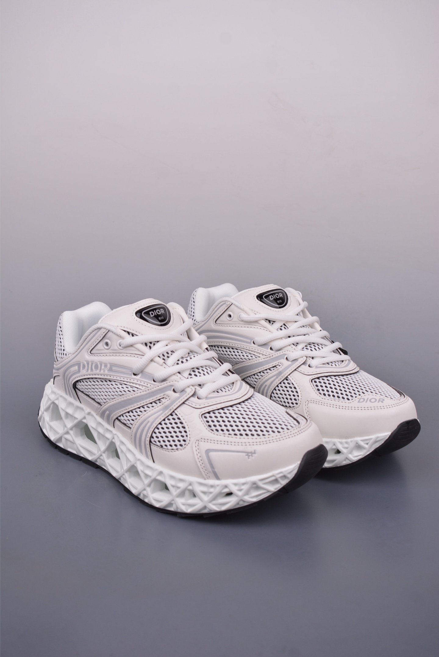 Dior B35 round toe lace-up sneakers 3SN308JZK2722