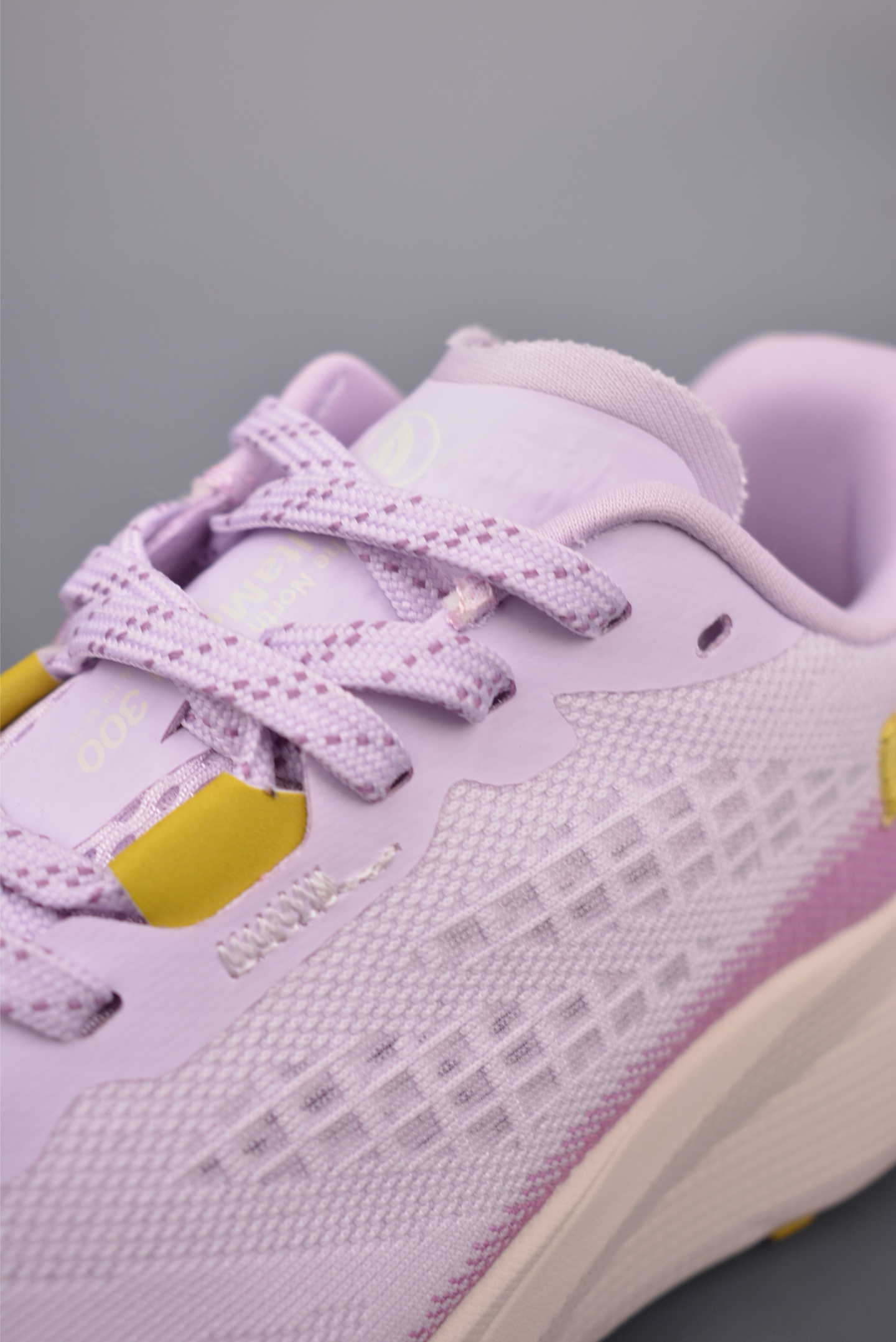 The North Face Altamesa 300 Sneakers Light Purple NF0A8A9SV6I-080