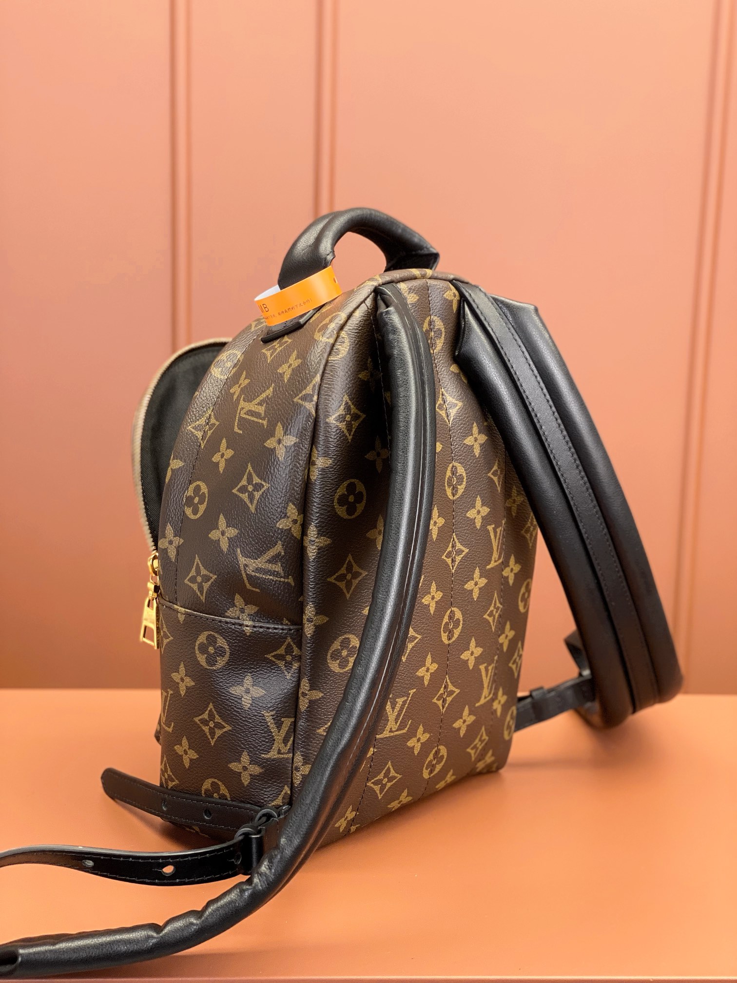 Louis Vuitton PALM SPRINGS Small Backpack M44871