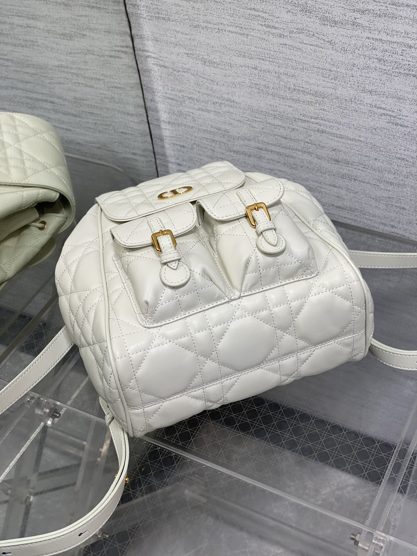 Dior Caro Fall/Winter Backpack