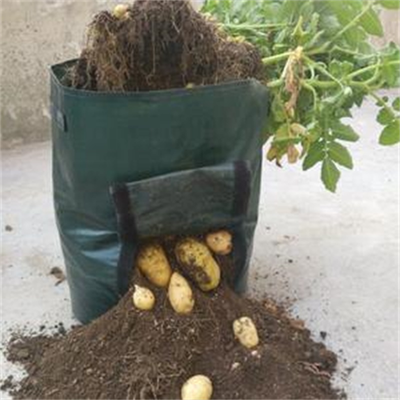 🎉Winter Sale 30% OFF - Plant Bag Potato Grow Container
