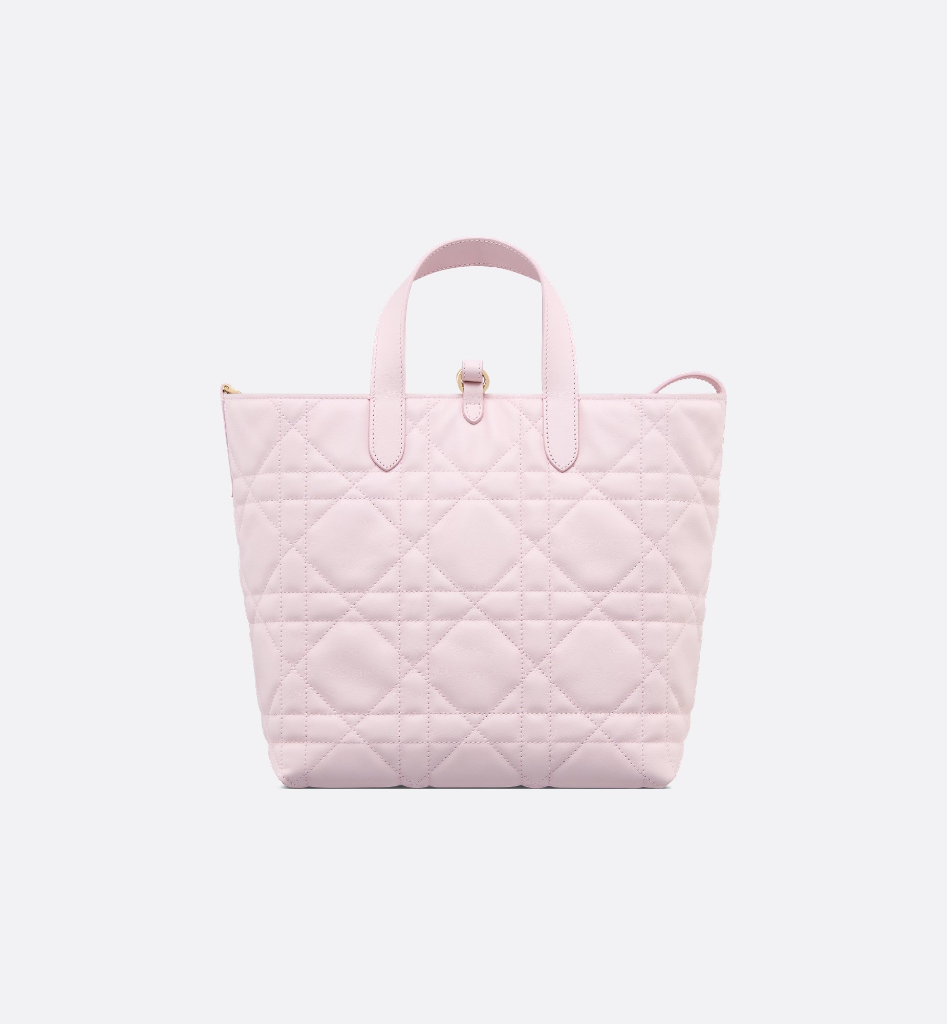 Dior Medium Dior Toujours Vertical Handbag M2836OSNW_M02N