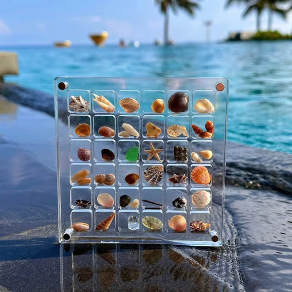 Acrylic Magnetic Shell Display Box