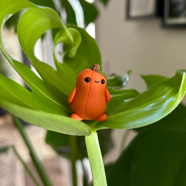 Mini Pumpkin Potato, desk buddy.
