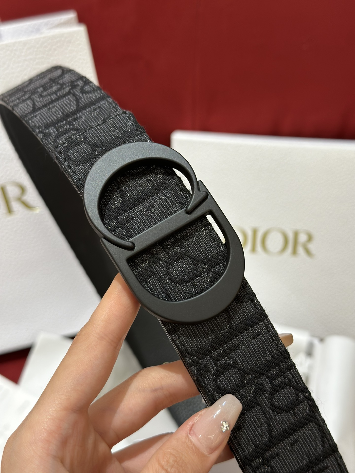 Dior CD Buckle Canvas Leather Belt 3.5CM Width