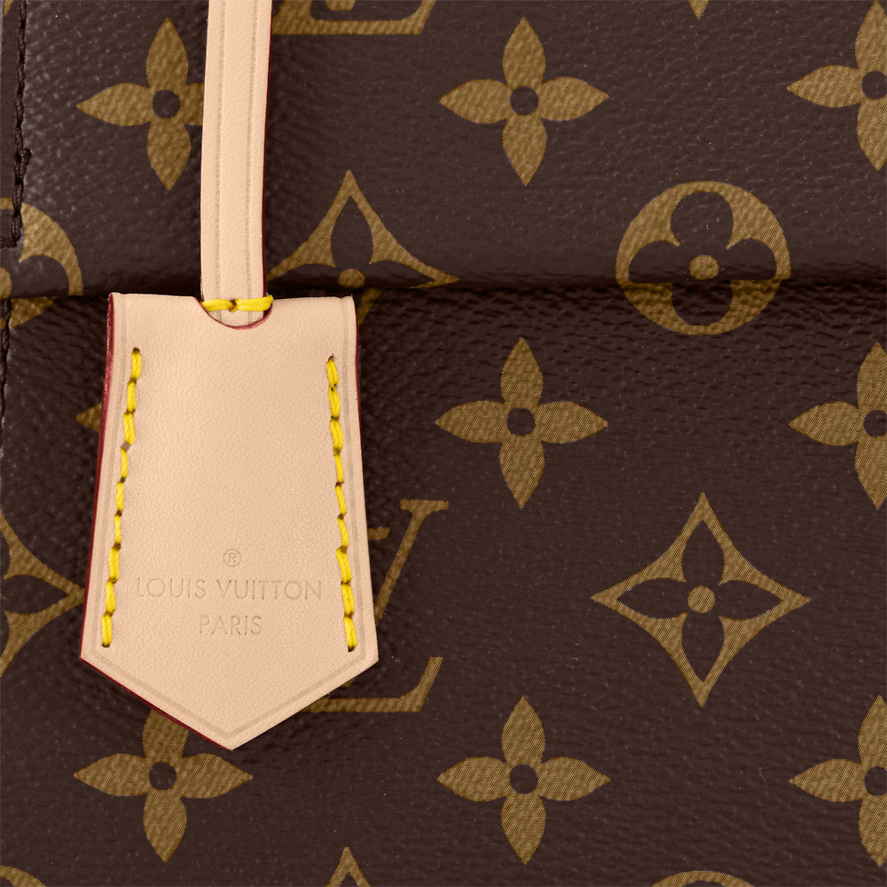 Louis Vuitton CLUNY BB Bag M46372