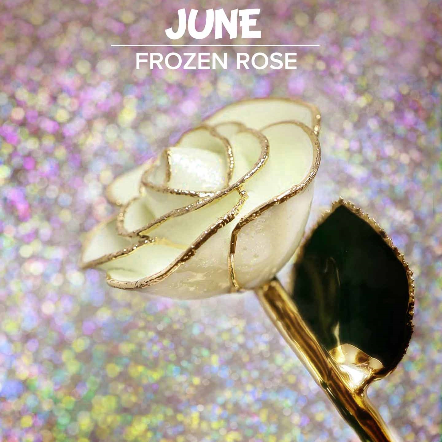 🔥HOT SALE🔥24kt Gold Dipped Rose Real Rose