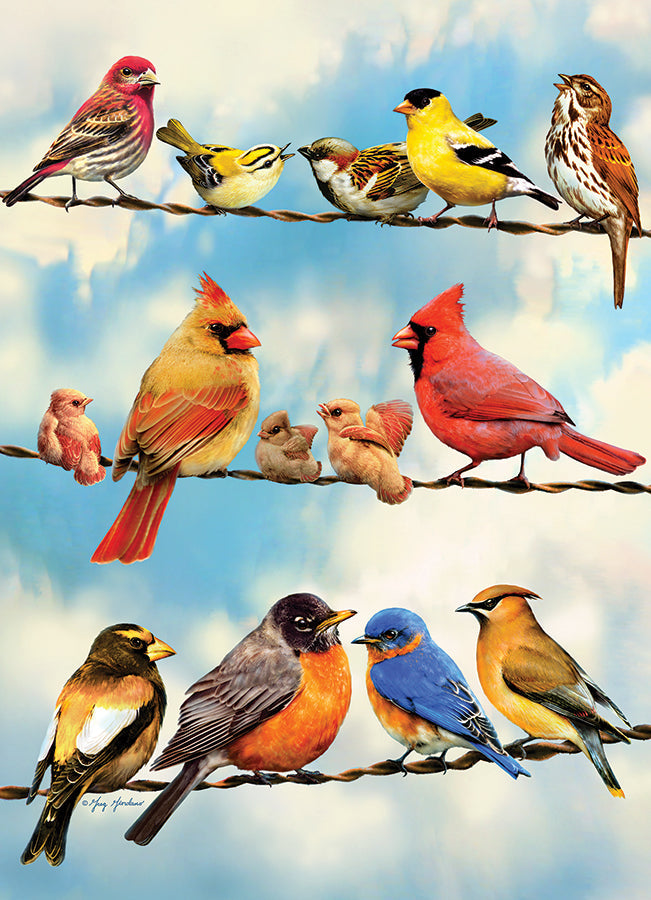 Birds on a Wire | 500 Piece