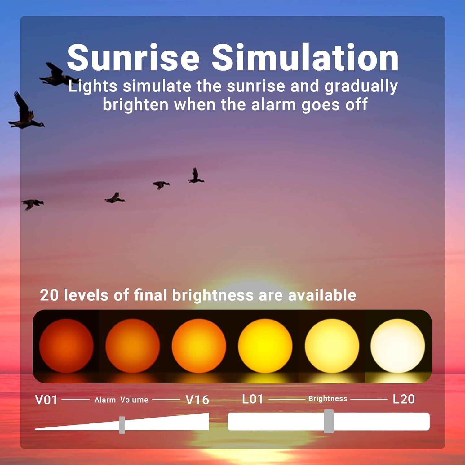 Sunrise Alarm Clock for Heavy Sleepers, Wake Up Light with Sunrise/Sunset Simulation
