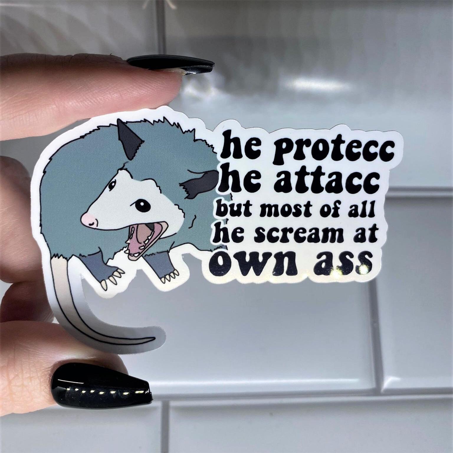 Funny Possum Sticker