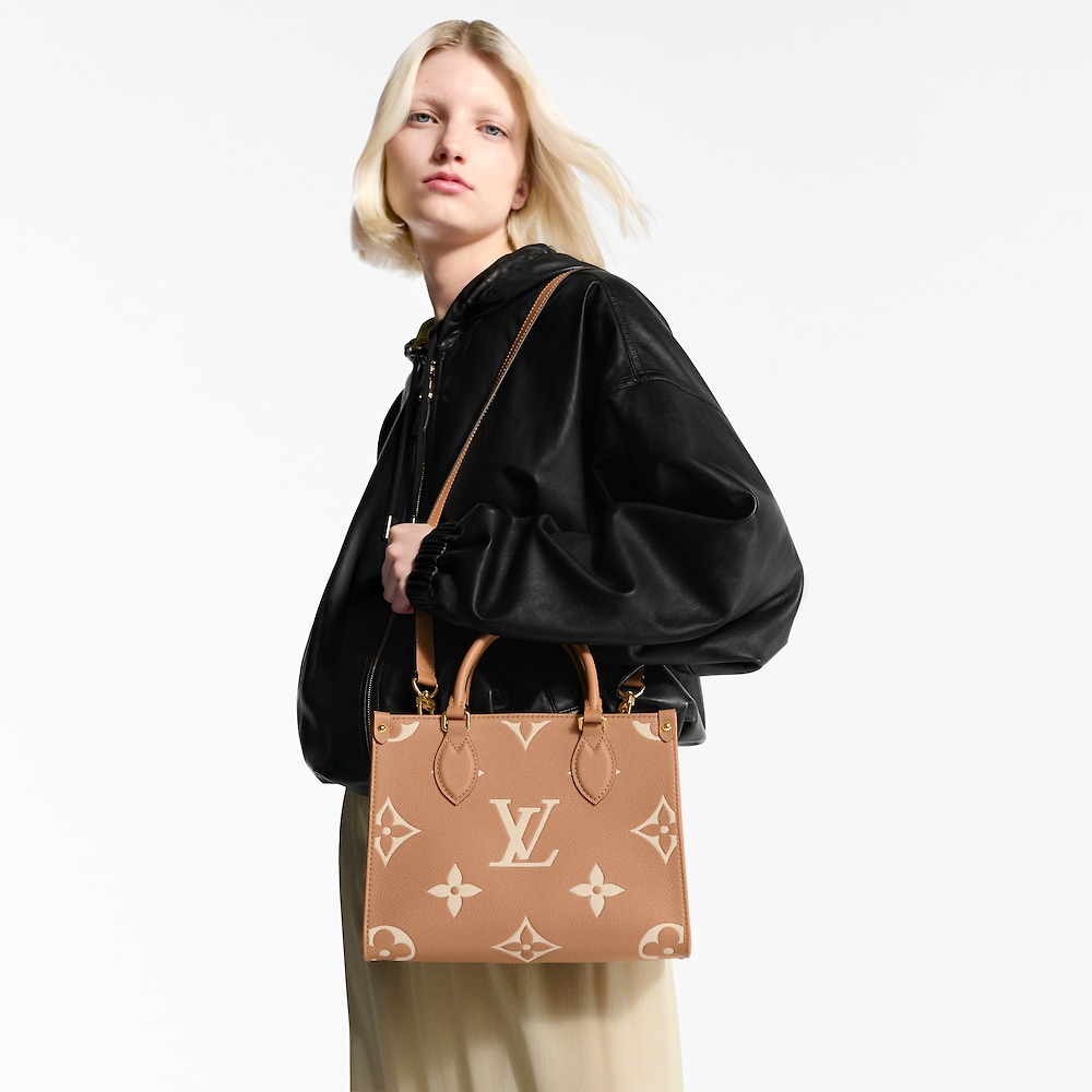 Louis Vuitton ONTHEGO Small Bag M45659
