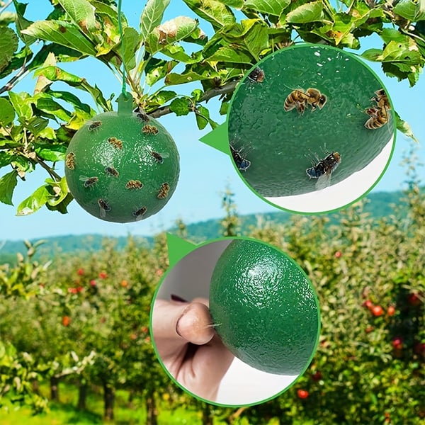 🔥Last Day Promotion - 50% OFF🔥Hanging Environmental Fruit Fly Traps Sticky Traps-BUY 5 GET 3 FREE