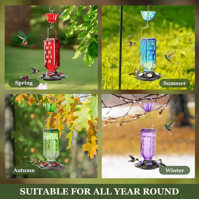 🔥HOT SALE 50% OFF🔥New Hanging Outdoor Glass Hummingbird Feeder With Perch And Built-in Ant Moat🐦