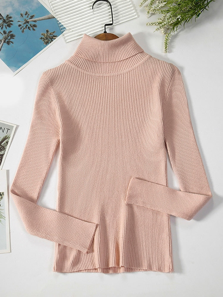 Simple Ribbed Turtleneck