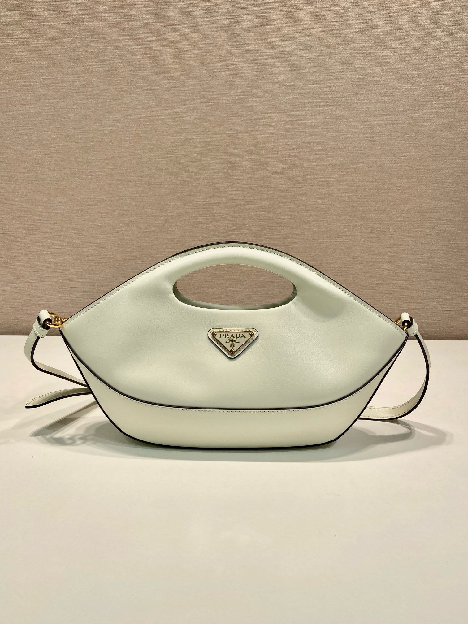 Prada Dumpling Bag 1BA421