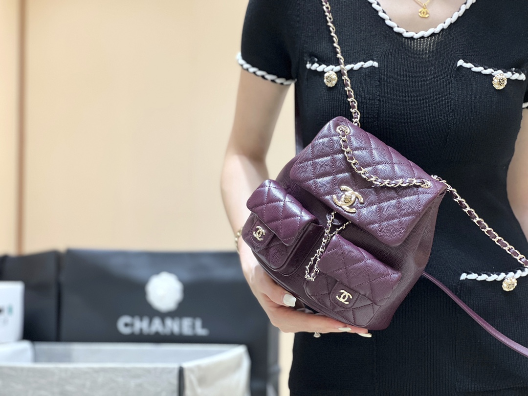 Chanel 24A duma double backpack 3860