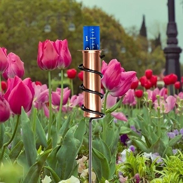 ⚡Last Day Flash Sale-50% OFF🔥World's Coolest Rain Gauge-Buy 2  Get 10% Off & Free Shipping