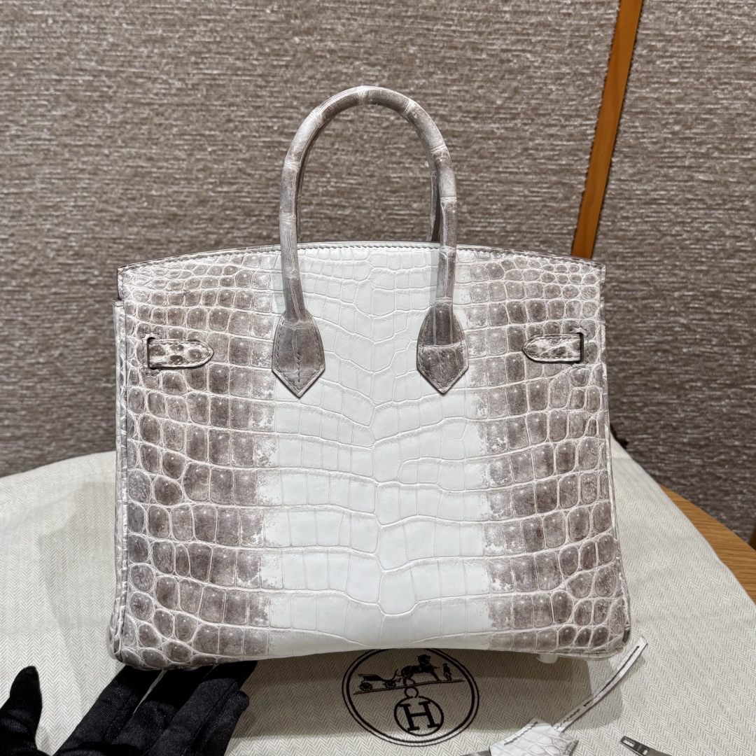 Hermès Birkin 25 Himalaya handbag (handmade to order)